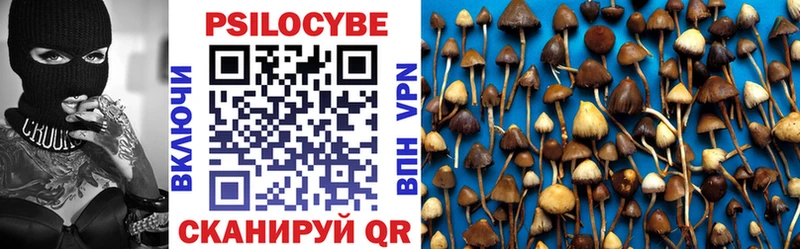 цена наркотик  мега ONION  Галлюциногенные грибы MAGIC MUSHROOMS  Ульяновск 
